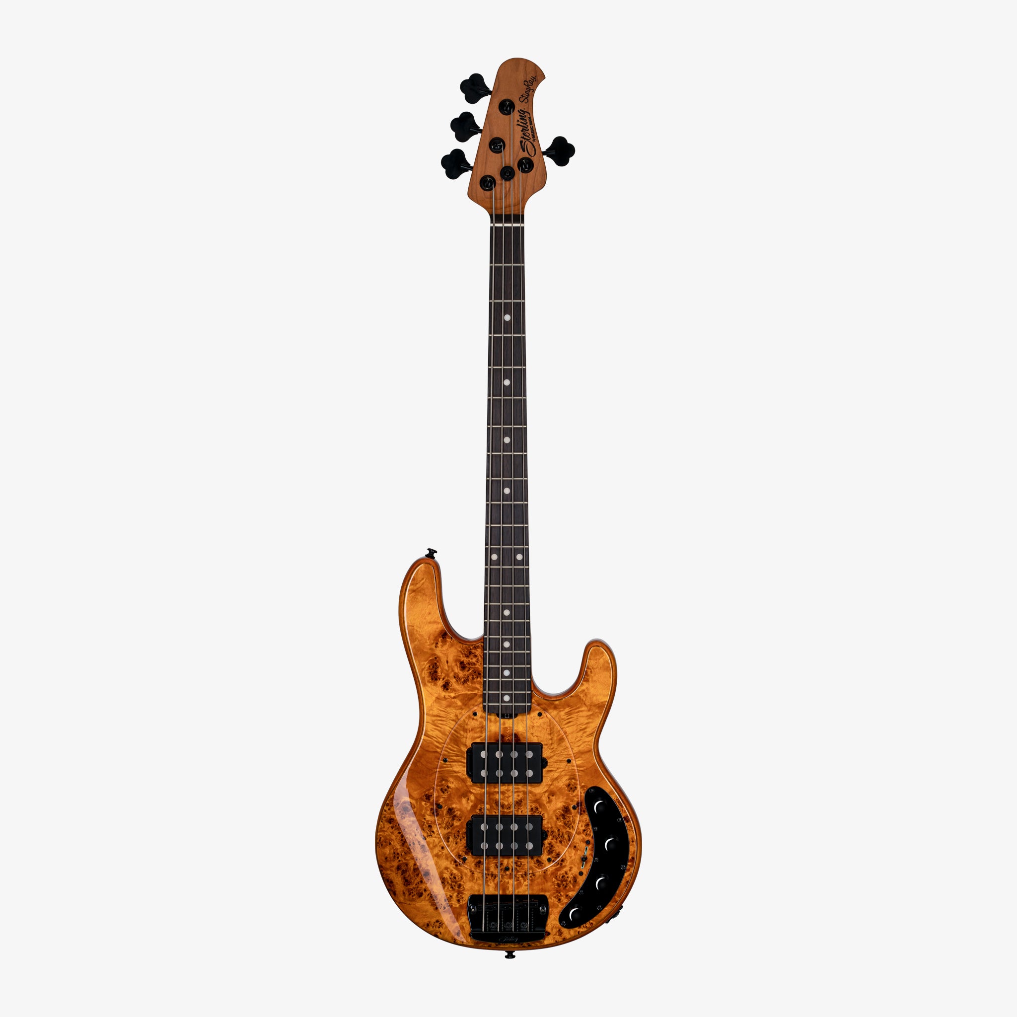 StingRay RAY34 HH Poplar Top | Basses | Sterling by Music Man