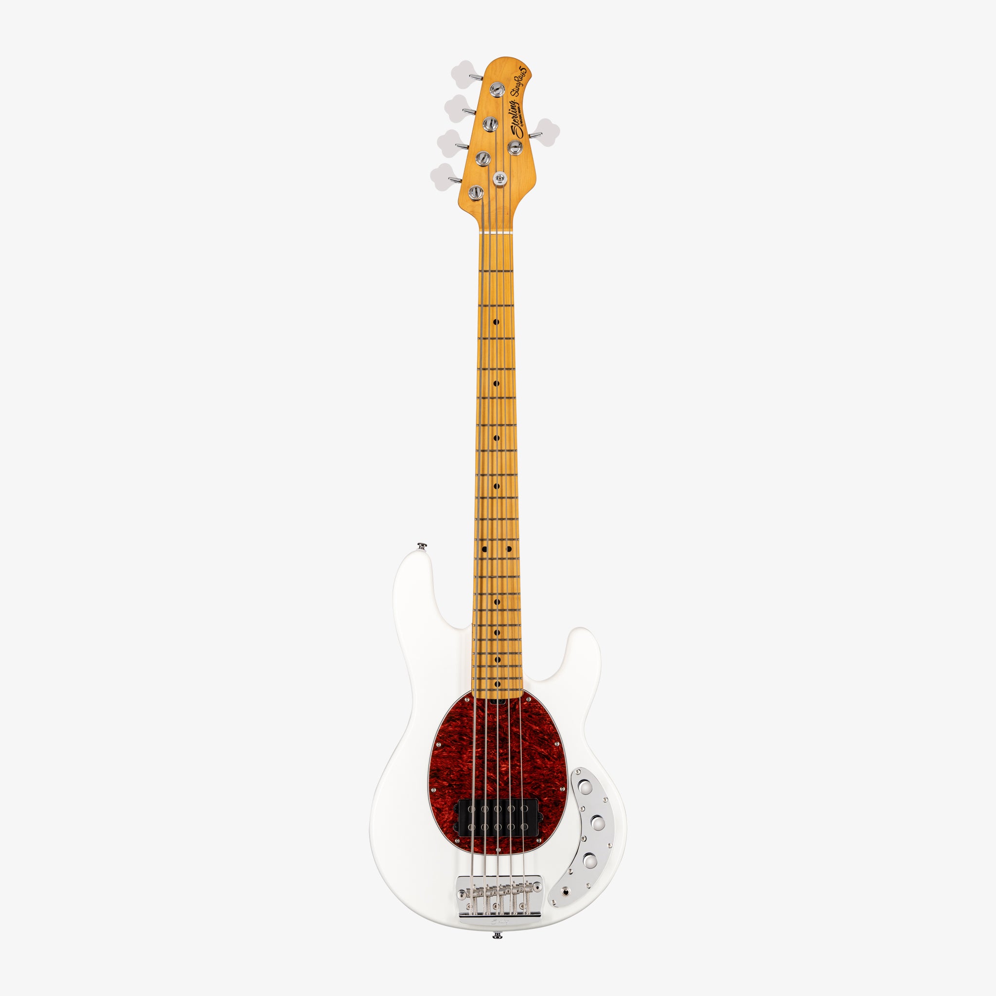 StingRay Classic 5 RAY25CA | Basses | Sterling by Music Man
