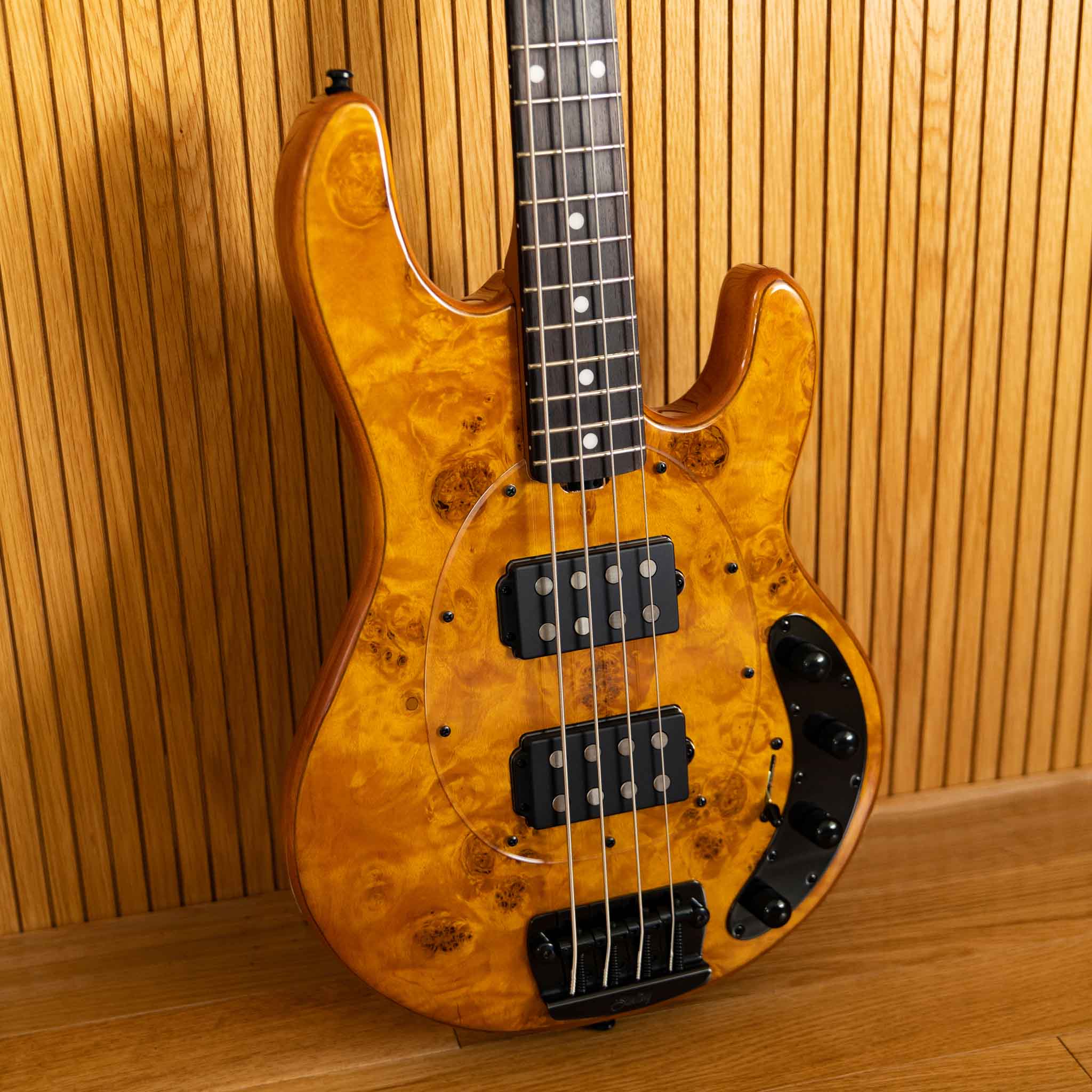 邦楽 RAYS Man StingRay RAY34 HH Poplar Top | Basses | Sterling by Music Man