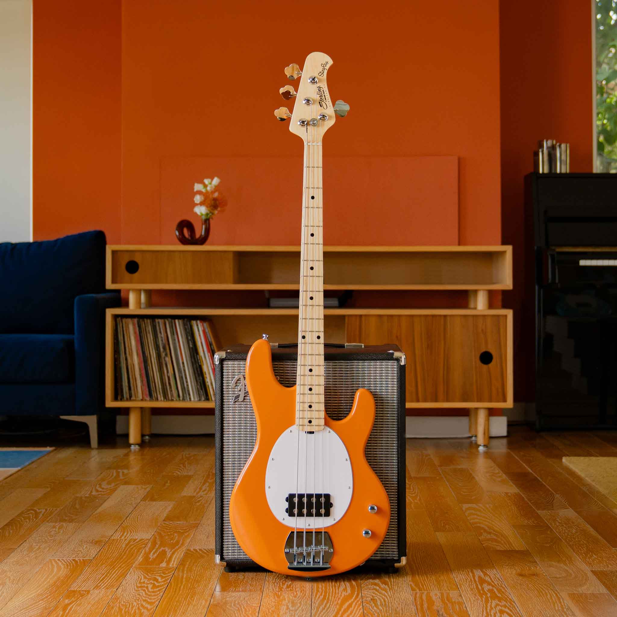 Intro Series StingRay