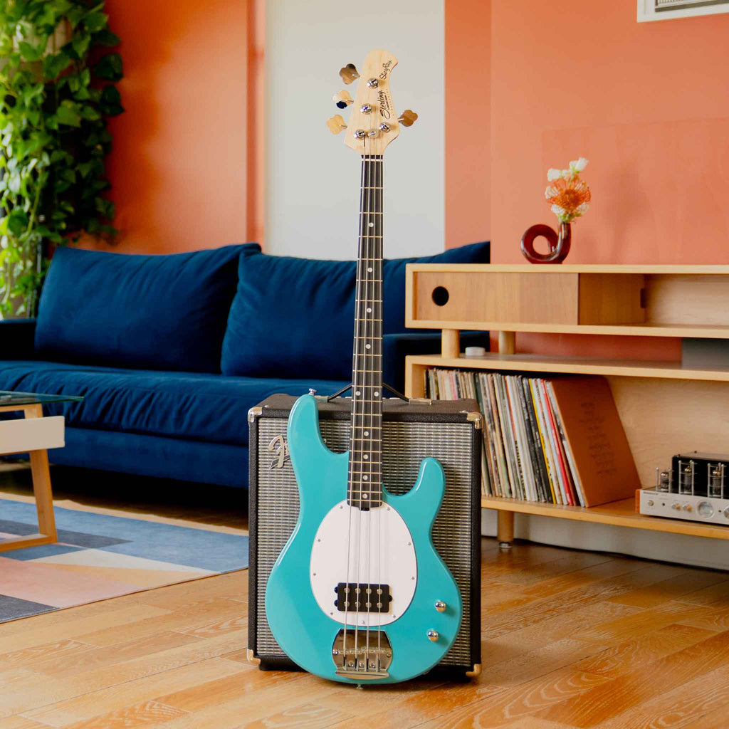 Intro Series StingRay