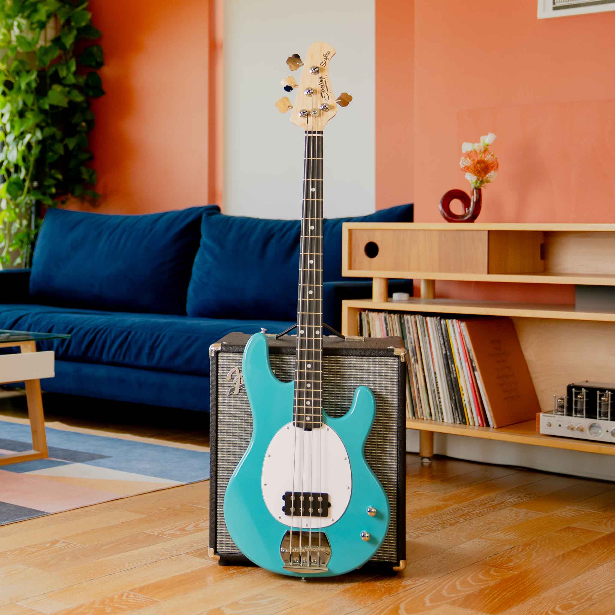 Intro Series StingRay