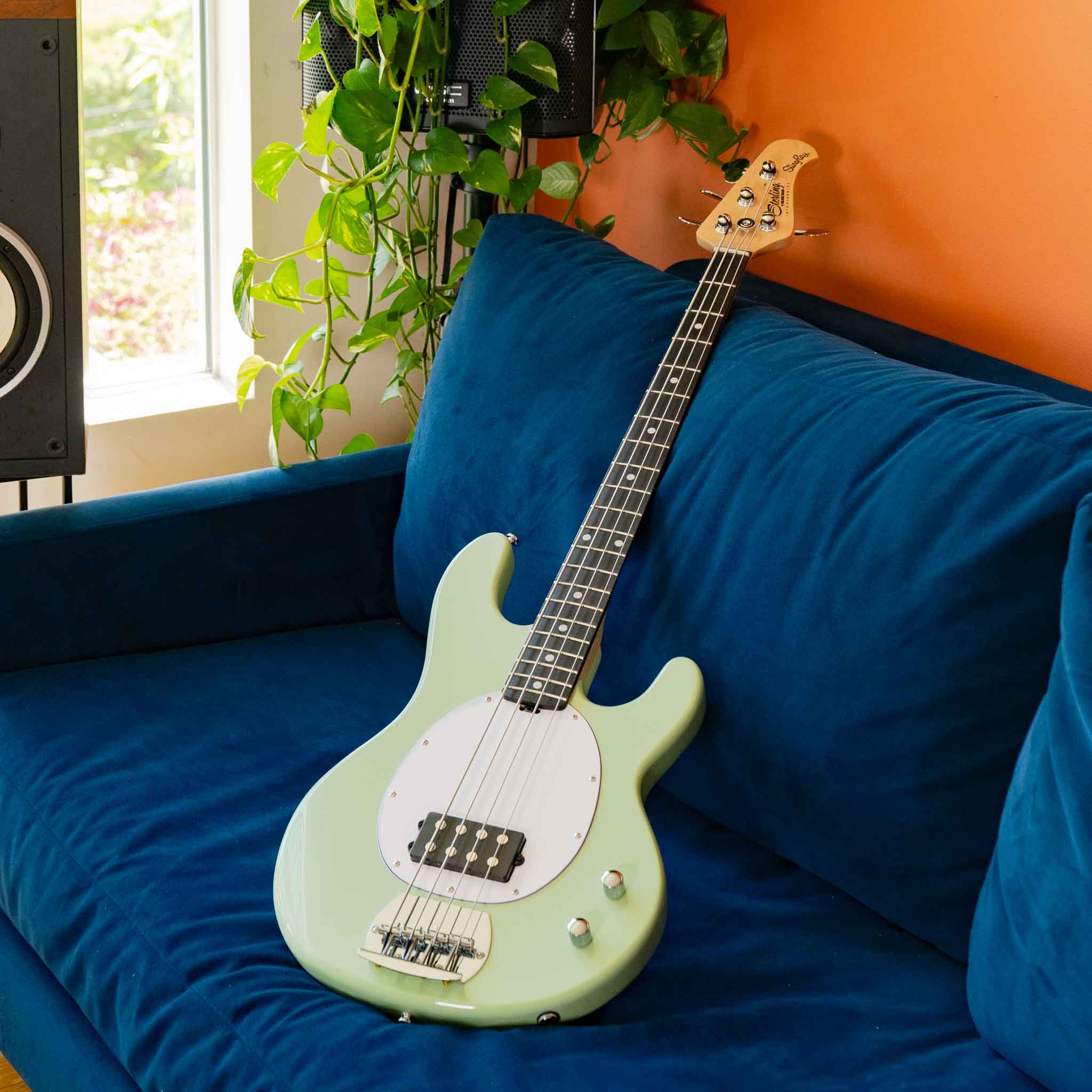 Intro Series StingRay