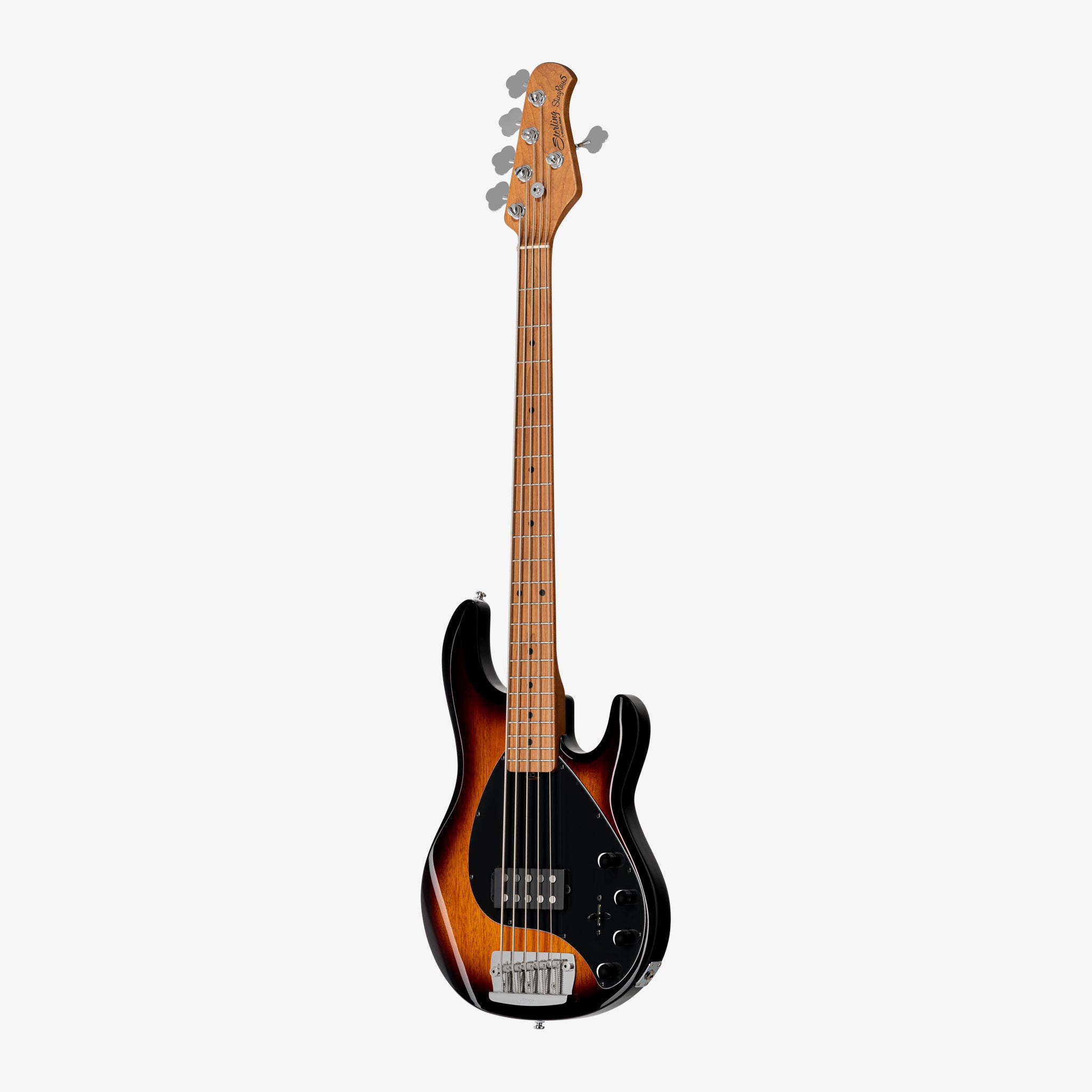 ミュージシャン FANTASTICSBTTMBlu-ray StingRay 5 – Sterling by Music Man