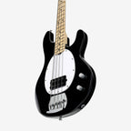 Intro Series StingRay