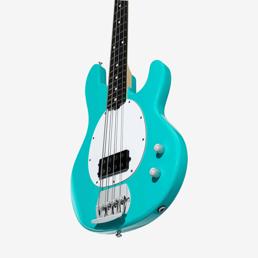 Intro Series StingRay