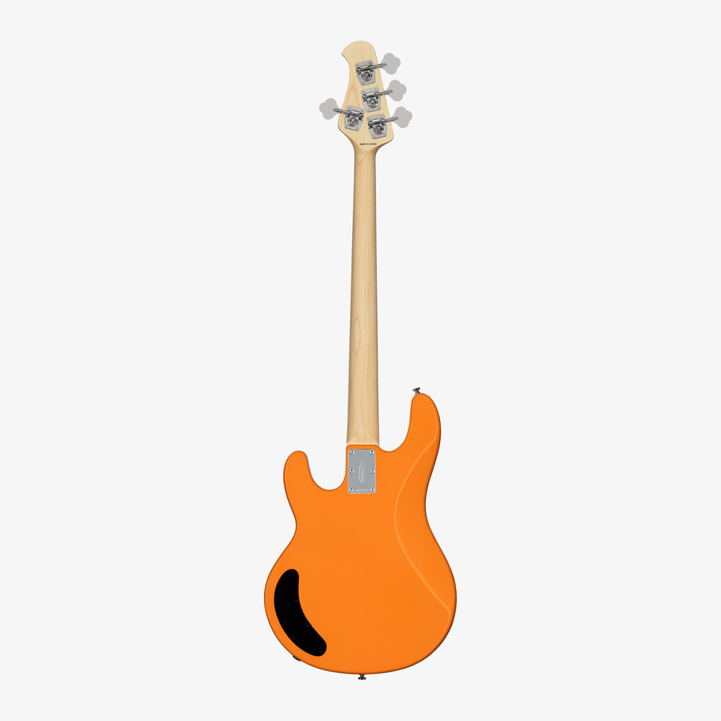 Intro Series StingRay