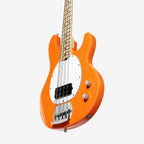 Intro Series StingRay