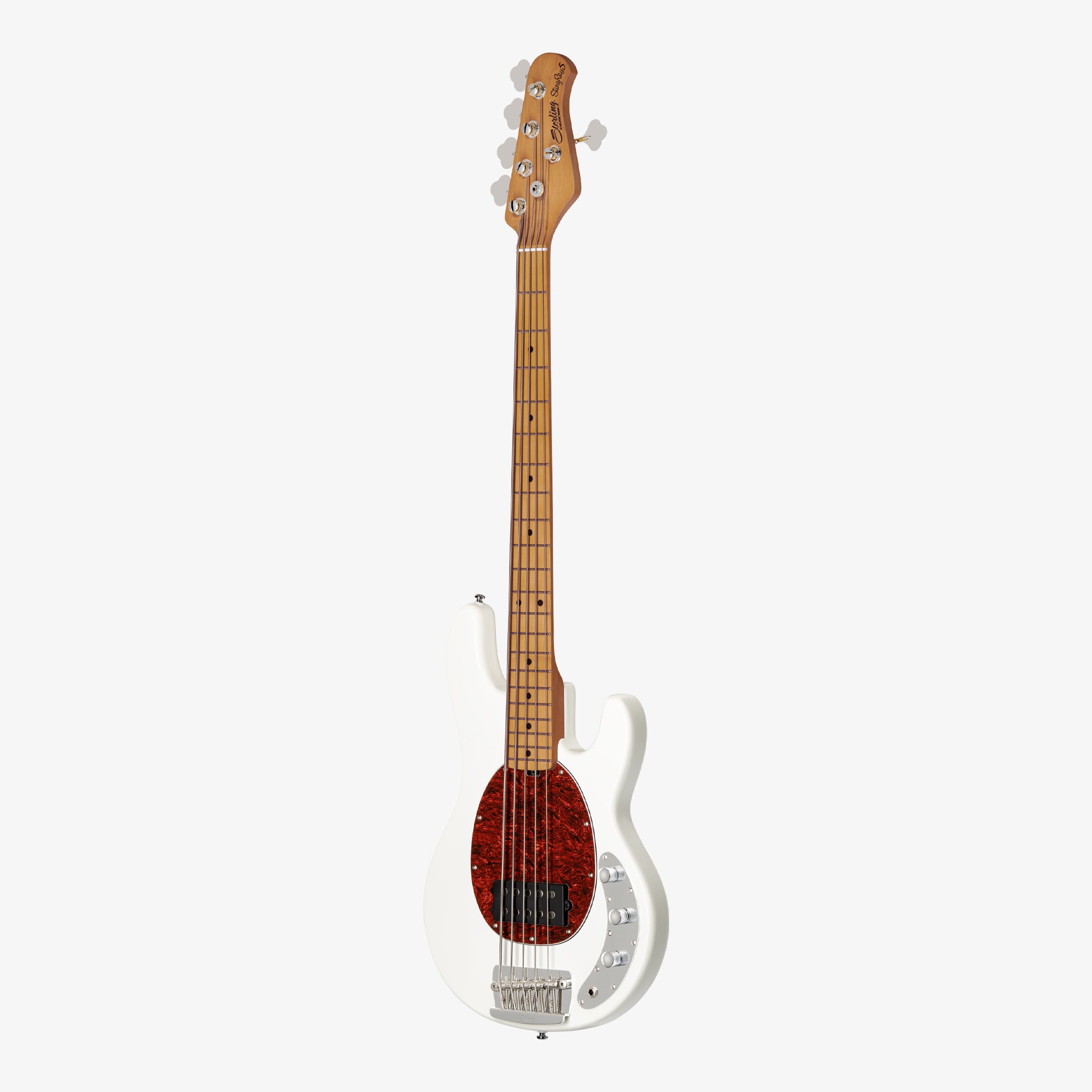 StingRay Classic 5 RAY25CA | Basses | Sterling by Music Man