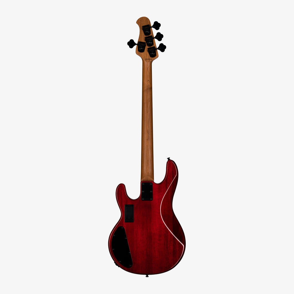 StingRay HH Maple Top