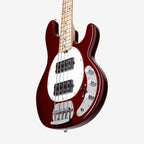 SUB Series StingRay HH