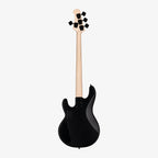 SUB Series StingRay HH