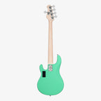 SUB Series StingRay 5 Plus