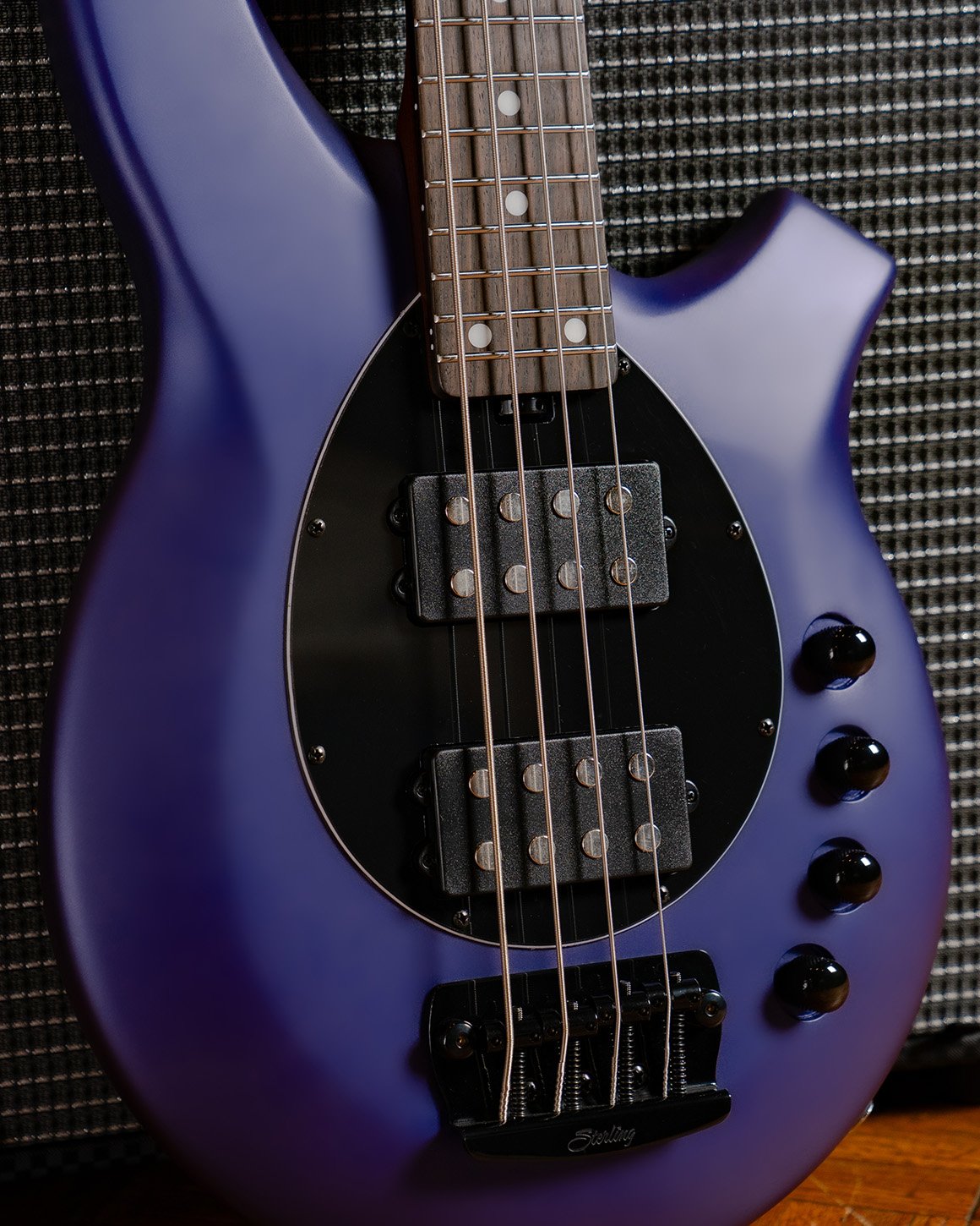 Bongo | Basses | Sterling by Music Man