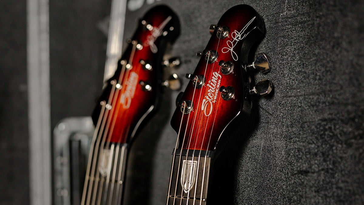 EBONY FINGERBOARD & STAINLESS STEEL FRETS