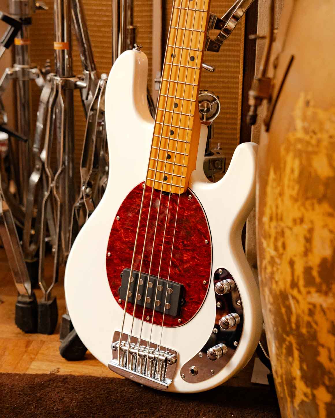 StingRay Classic 5 RAY25CA | Basses | Sterling by Music Man