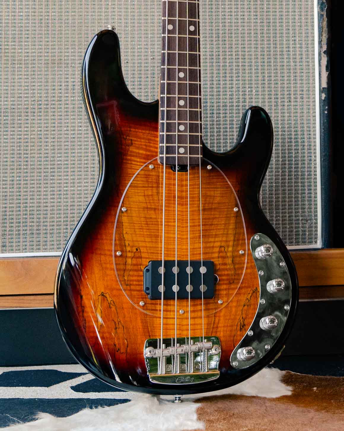 StingRay RAY34 Maple Top | Basses | Sterling by Music Man