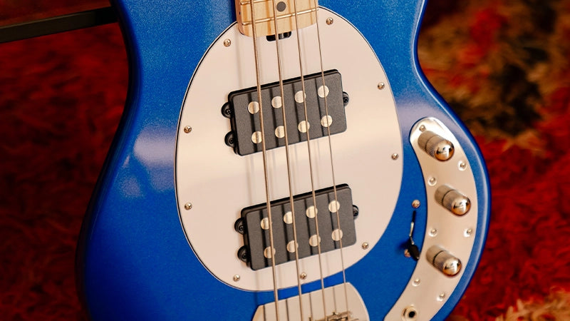 ray4hh-pickups_x720.webp?v=1706134142